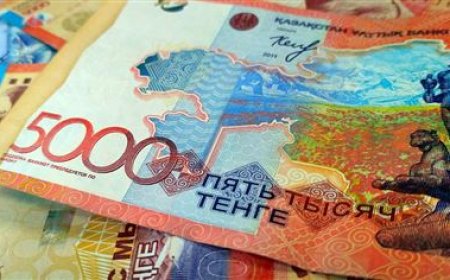 Жыл басынан бері несиесін төлей алмаған 12 адам өзін өзі өлтірген – ІІМ