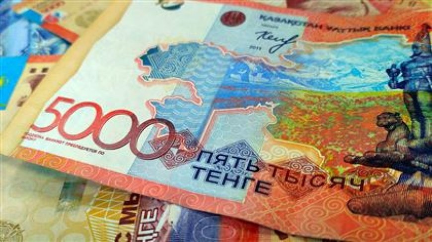 Жыл басынан бері несиесін төлей алмаған 12 адам өзін өзі өлтірген – ІІМ