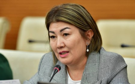 3 жылда үкімет 17,4 млрд теңге бөлген 83 фильмнің тек 18-і экранға шыққан