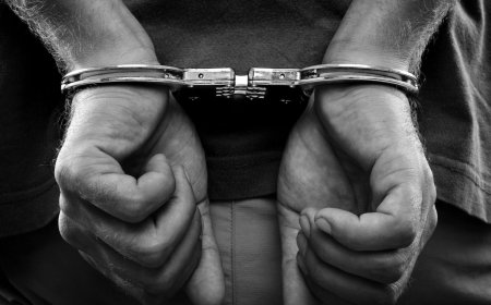 Қазақстанда қаржы пирамидасын құрған адам Грузияда ұсталды