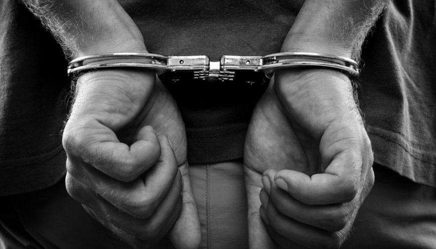 Қазақстанда қаржы пирамидасын құрған адам Грузияда ұсталды