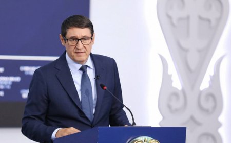 АҚШ дипломаты 9 айда үйренген тілді министр неге меңгере алмай келеді?