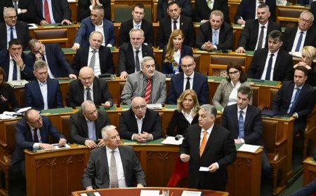 Венгрия парламенті Швецияның НАТО-ға кіру туралы өтінішін мақұлдады