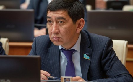 «Бишімбаевтар әулеті қоғам пікірін бұрмалауды жақсы меңгерген» - Ринат Зайытов