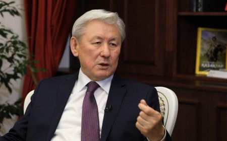 «Назарбаев та ет пен сүйектен жаралған адам»: танымал саясаткер экс-президентті кешіруді сұрады
