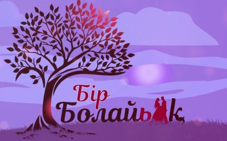 «Қалаулым» мемлекеттік арнада емес қой» - Әшімбаев