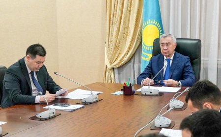 Халық тасқын сумен арпалысып жатқанда, Үкімет шегірткемен күрес мәселесін талқылады