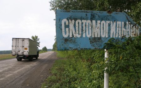 Батыс Қазақстанда су тасқынынан сібір жарасы қаупі бар 14 қорым ашылып қалды