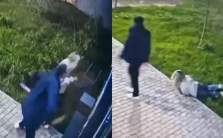 «Қызғанып кеттім»: Бұрынғы әйелін аяусыз ұрған ер адам кешірім сұрады