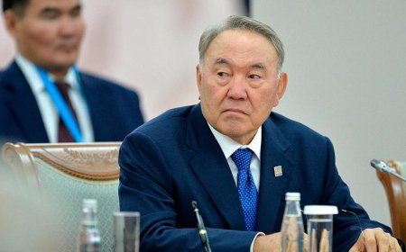«Биліктің беделін түсіруге бағытталған науқан»: Назарбаев қоры мәлімдеме жасады