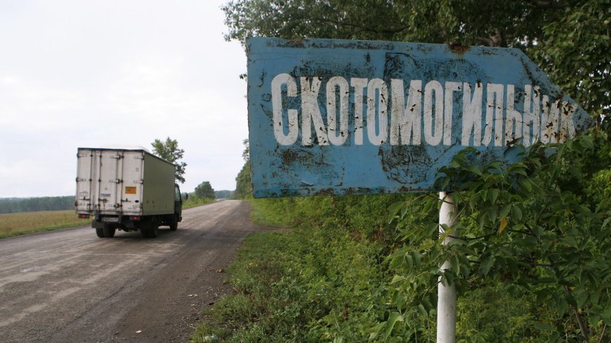 Батыс Қазақстанда су тасқынынан сібір жарасы қаупі бар 14 қорым ашылып қалды