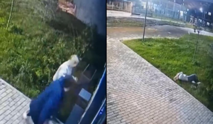 «Тағы бір Салтанатты құтқару керек»: Алматыда күйеуі әйелін ұрып құлатқан (ВИДЕО)