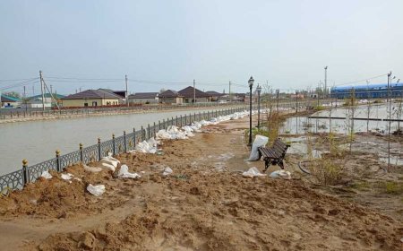 Су тасқыны: Жайықтың суы сегіз метрге көтерілді