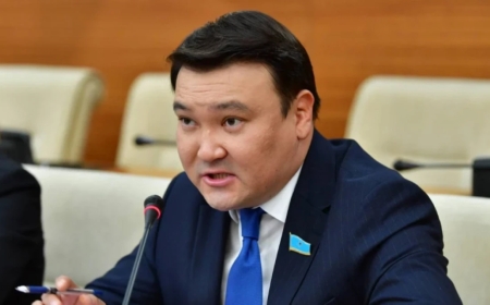 «Су басқан өңірлерді үлкен экологиялық апат күтіп тұр» - Мәжіліс депутаты