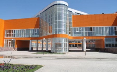 Астанада Назарбаев мектебінде оқитын оқушы қызды пышақтап кетті