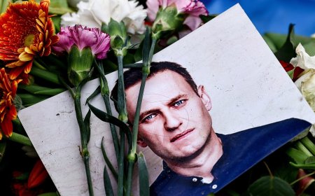 Еуроодақ Навальный ісіне қатысы бар судьяларға санкция салды