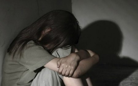 «Шырылдатып, зорлап жатқан жерінен ұстап алдым»: 8 жасар қыздың анасы күйеуінің қылмысы үстінен түскен