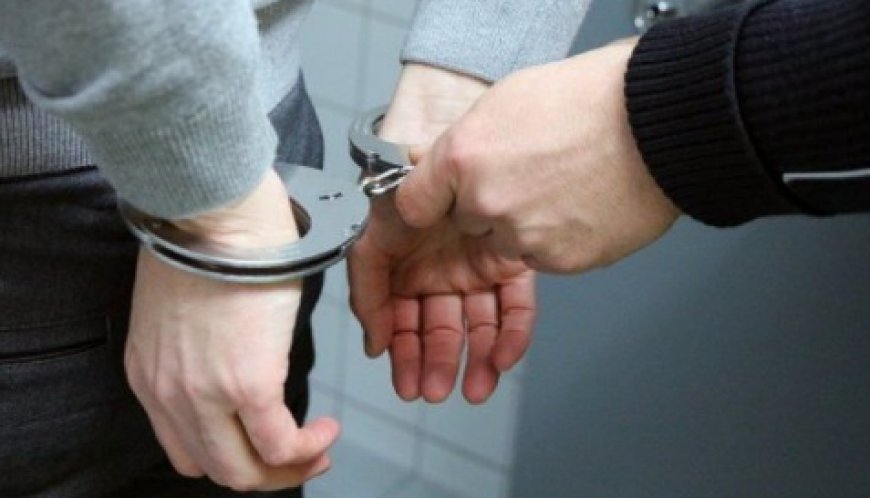 Қырғызстанда 29 баланы қағып кеткен жүргізуші қамауға алынды