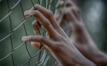Шымкент тұрғыны асырап алған балаларын байлап ұстап, ит-мысықтың етін берген