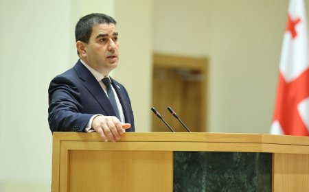 Грузия парламентінің спикері қарсылыққа қарамастан «шетел агенті» заңына қол қойды