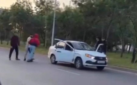 Жол үстінде жүргізушіні аяусыз ұрған күдіктілер іздестіріліп жатыр (ВИДЕО)