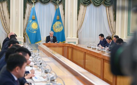 Президент туризмді дамыту жөнінде кеңес өткізді