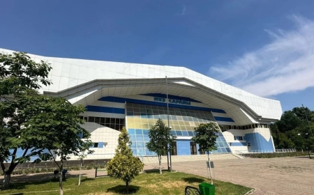 Белгілі олигарх Шымкенттегі Мұз айдынынан айырылды