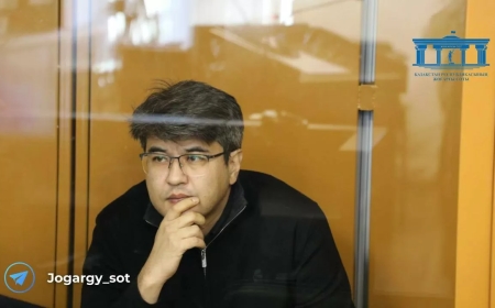 Астаналық әйел Бишімбаевтың жазасын жеңілдетемін деп 100 млн теңге алған