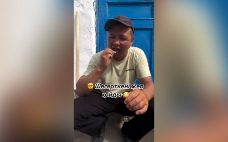 20 мың теңге үшін шегірткені тірідей жеп қойды (ВИДЕО)