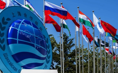 Астанадағы ШЫҰ саммиті: Украина соғысты тоқтатуға қарай қадам жасады