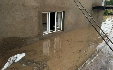 Жамбыл облысында нөсерден кейін жиырма бір үйді су басты