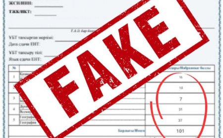 ҰБТ сертификатын қолдан жасаған 10 адам анықталды