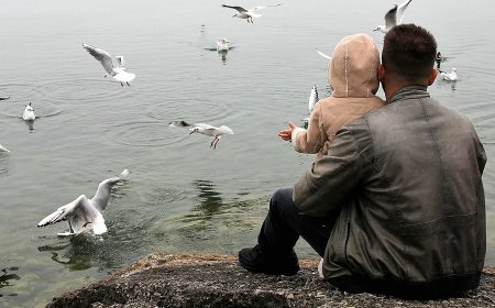 Елімізде бойдақ жігіттерге бала асырап алуға рұқсат берілмек