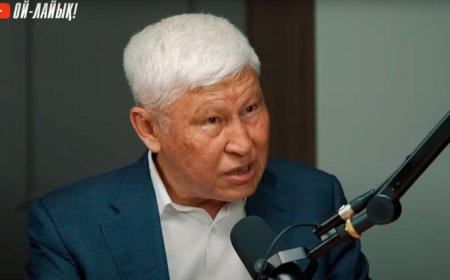 Белгілі математик: Дәретхана сала алмай отырып, Швециядағыдай мектеп салам деу – бос әңгіме