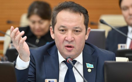 «Мәртебесіне сай келмейтін әрекет жасаған»: Ақжол партиясының депутаты парламенттен қуылды