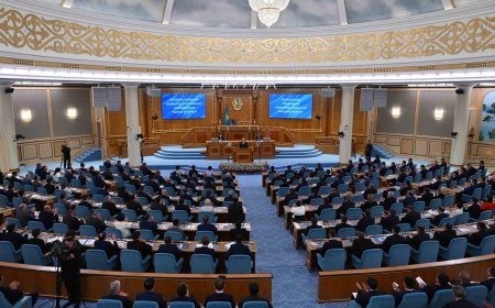 Бізге Банктер туралы жаңа заң қажет - Мемлекет басшысы