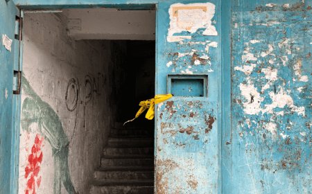 Ақтауда жертөледе қызды зорлаған: полиция еш түсініктеме бермей отыр