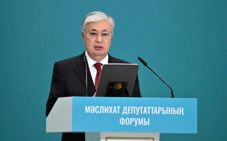Тоқаев әкімдердің әр қадамын аңдуды әдетке айналдырған белсенділерді сынады