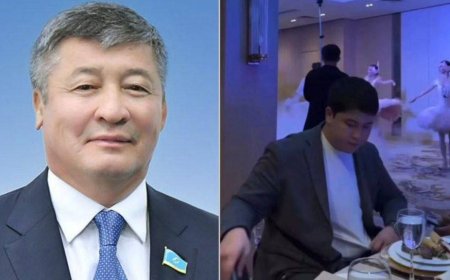 Сот депутат Дәулет Тұрлыхановтың ұлына қатысты шешім шығарды