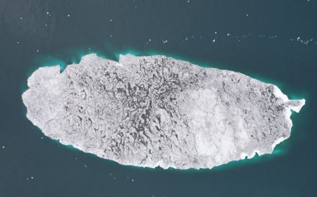 Ресейде көлемі 53 гектар болатын бүтін бір арал жоғалып кетті