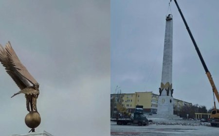 Ақтөбеде 18 млн теңгелік қыран «қанаты қайырылып» құлап түсті