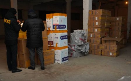 Контрабандные сигареты на 50 млн тенге изъяли в Костанае