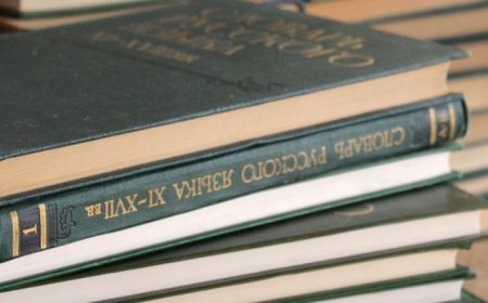 Казахстан выделит более 130 млн тенге на создание Международной организации по русскому языку