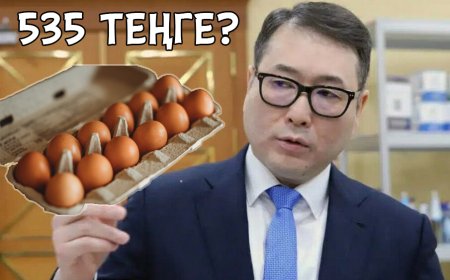 «Ең арзан жұмыртқаның өзі 535 теңге тұрмайды»: Боқаев министрдің өтірігін бетіне басты