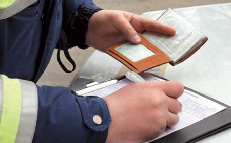 Шенеуніктер айыппұлдың сан түрін ойлап тауып жатыр