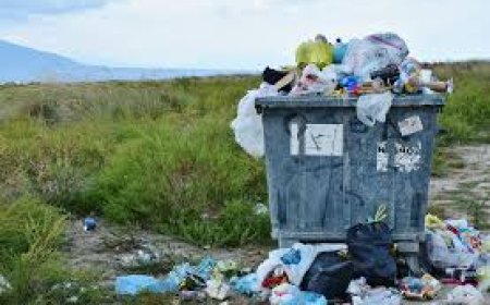 Экологическая ситуация в Жамбылской области