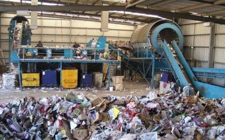 2,6 млн еуро желге ұшты: Семейде қоқыс сұрыптау жобасын прокуратура тексеріп жатыр
