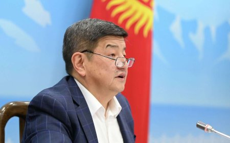 Қырғызстан премьер-министрі қызметінен кетті