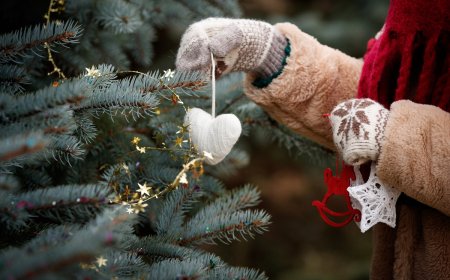 Семейде мұғалім шыршаны безендіру кезінде құлаған: білім бөлімінің басшысы қызметінен қуылды