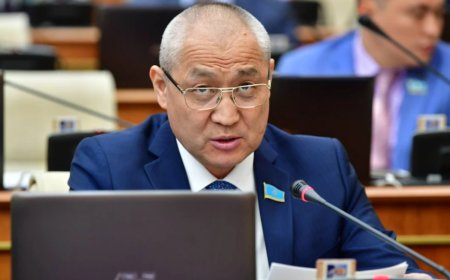 «Қыртымай, менің орныма келіп отырып көріңдер»: Депутат өзін сынағандарға жауап берді
